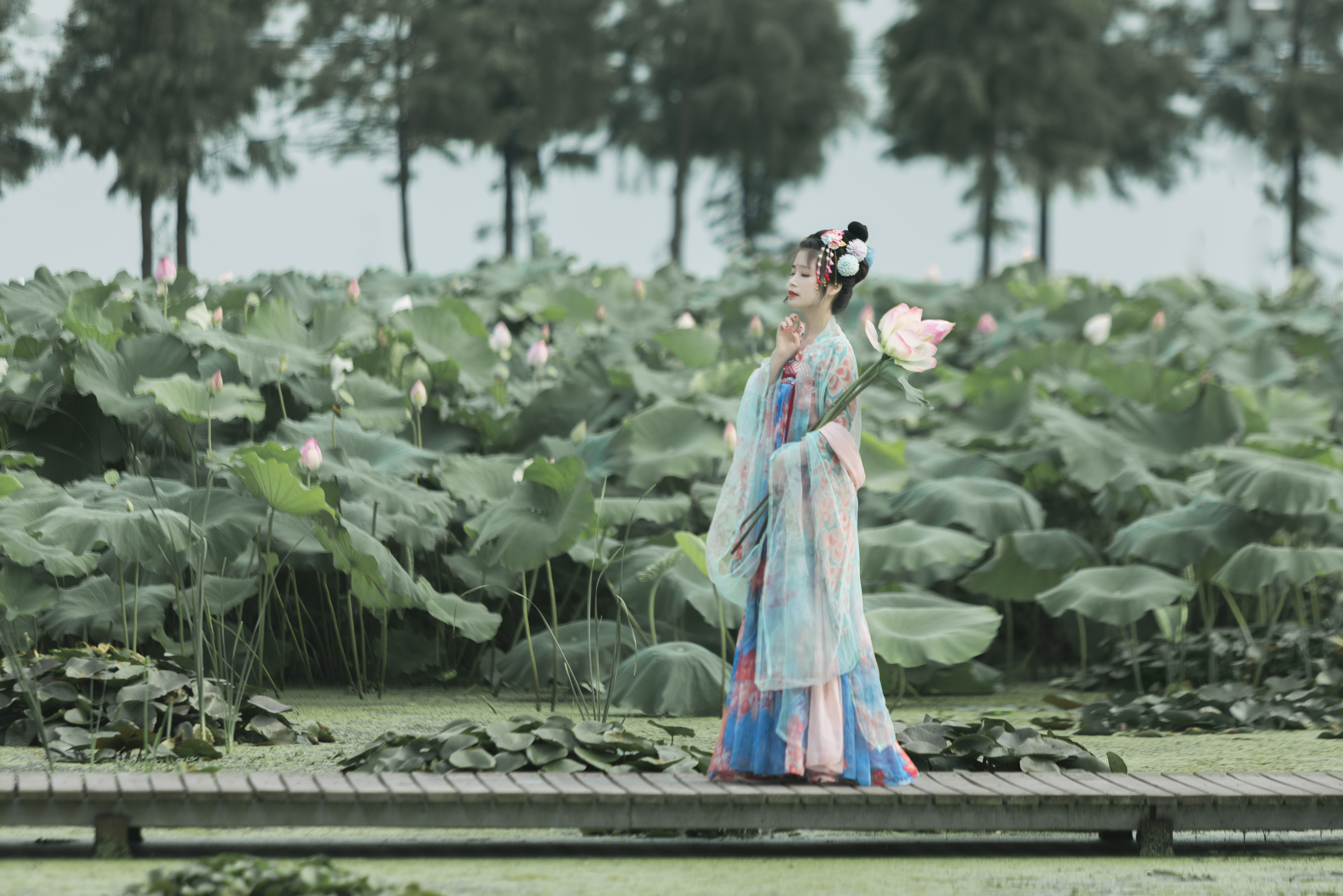 诗经东方之日完整版,诗经东方之日图片