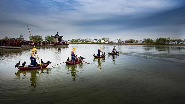 长三角城市群最佳旅游线路,长三角示范区旅游详细攻略