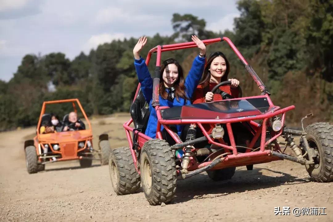 石象湖风景区郁金香开了吗,成都石象湖的郁金香什么时候开