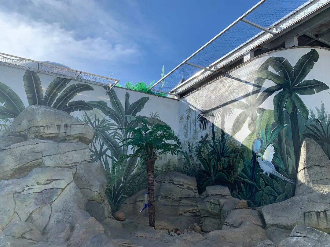 黄金海岸沙雕海洋乐园梦幻水世界,美爆了2019首届奇幻星空海洋馆