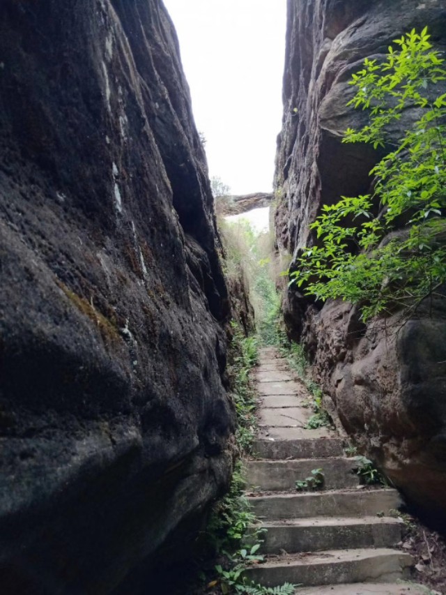 南部县我的故乡,我的家乡南部县