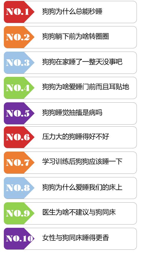 狗狗睡眠冷知识,狗狗睡眠秘密大全