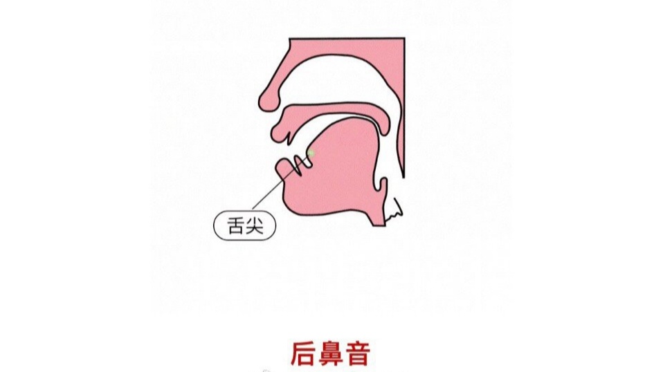 怎么知道用前鼻韵母还是后鼻韵母,前鼻韵母un和后鼻韵母ong区别教学