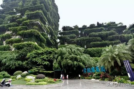 碧桂园财报一季度,碧桂园的财报