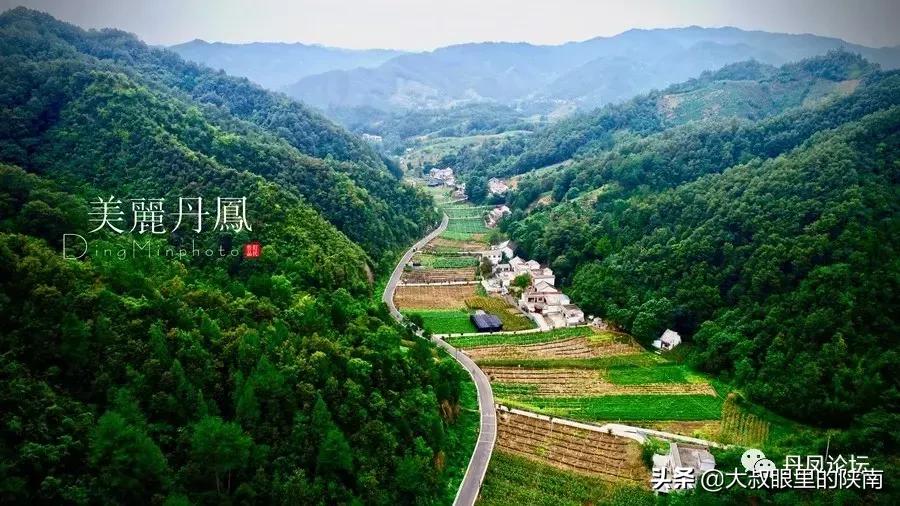 丹凤县七一建党节活动,丹凤建党