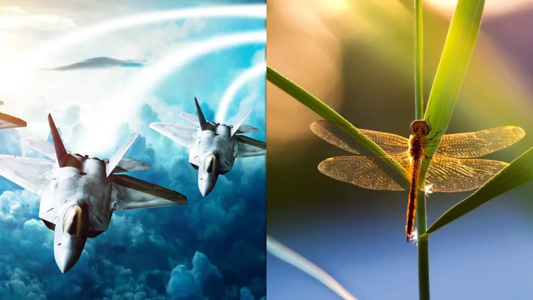 ppt背景图分享无水印,ppt背景图怎么抠掉部分