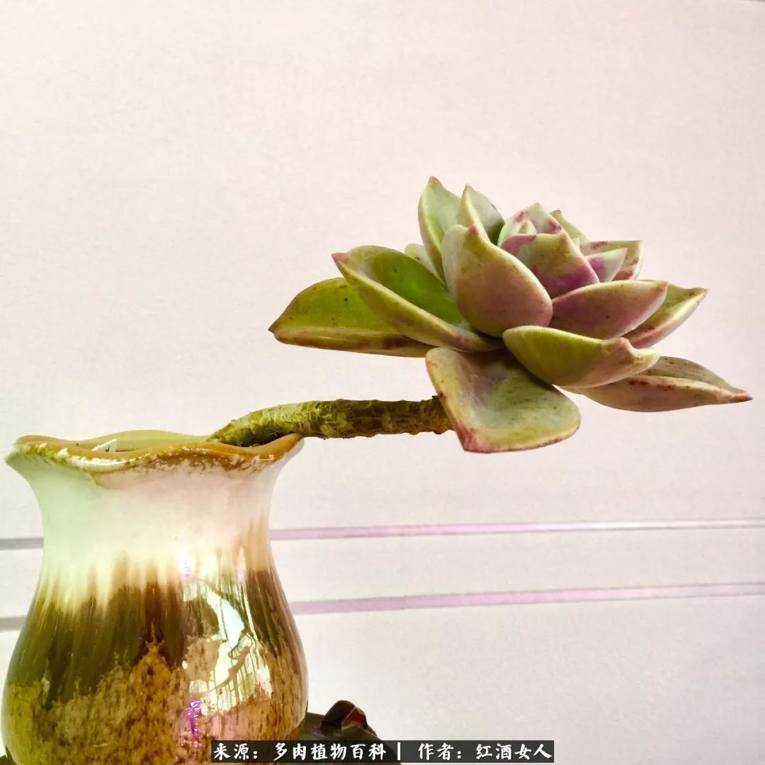 记录走过的美景留下美好的回忆,记录走过的每一段美好时光