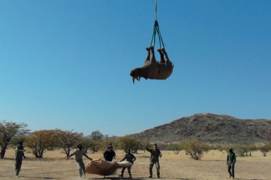 *行为性**能让鼻子更通气;留着长胡子更抗打?今年的搞笑诺奖它来了