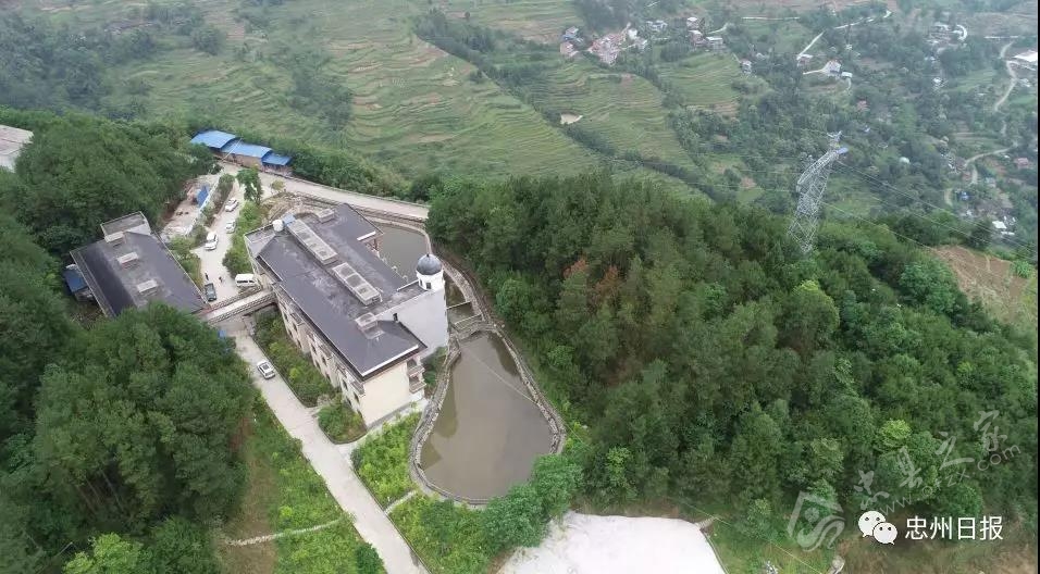 白石山林区生态环境,白石镇竹海