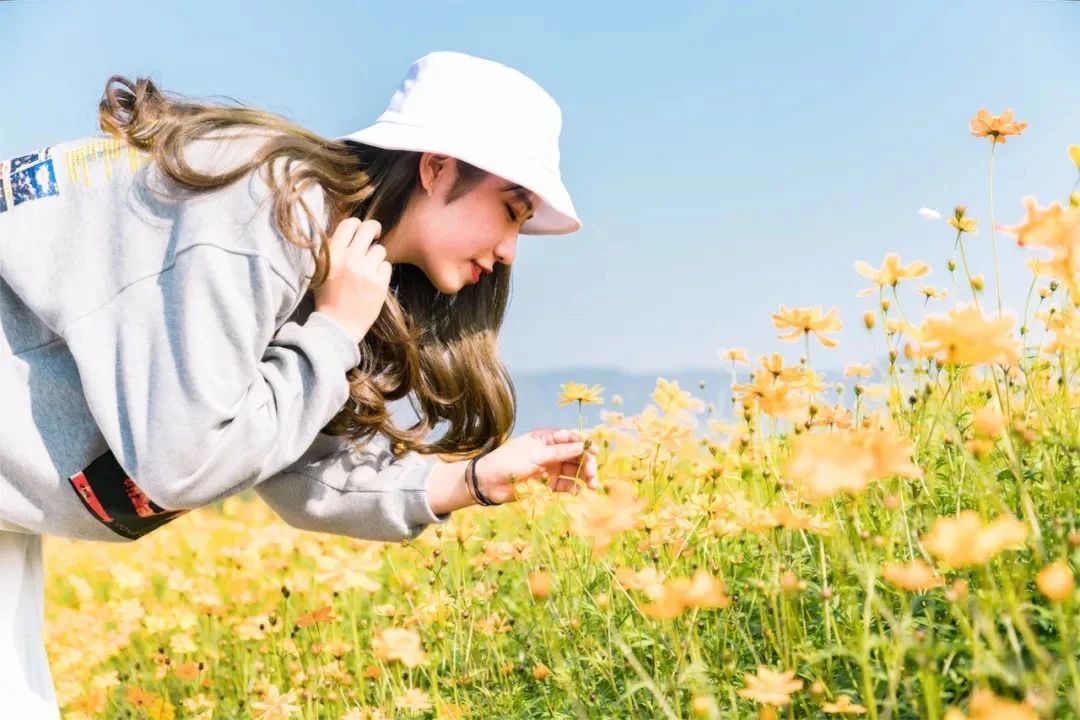 深圳周末浪漫好去处,深圳浪漫约会地点十个景点