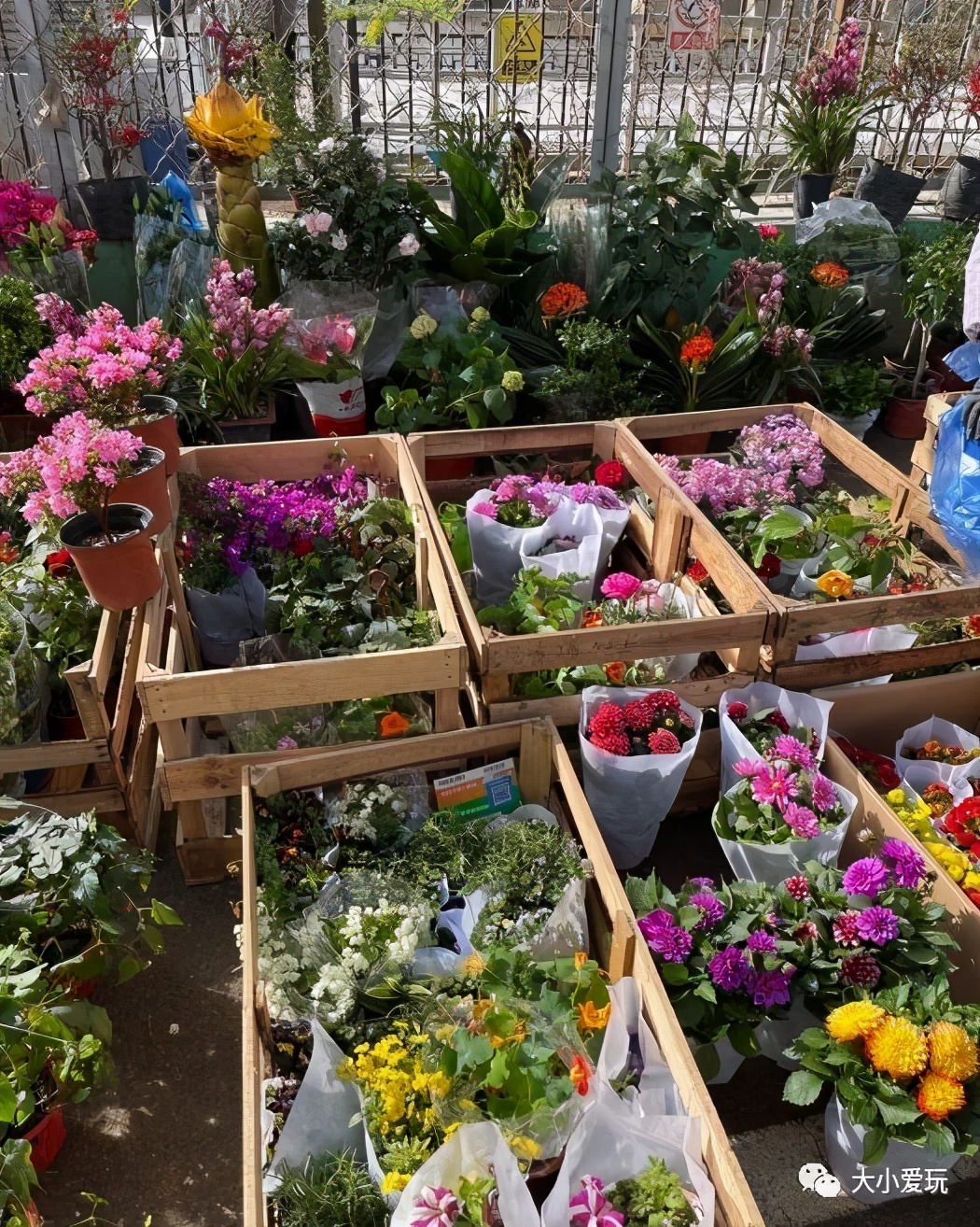 2018北京京郊大集,北京必逛的5个大集