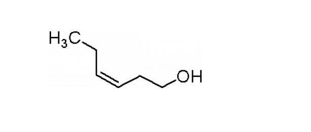 普洱陈香和糯香哪个好,普洱陈香和霉味的区别