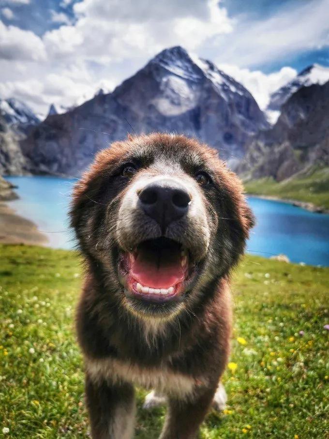 6月徒步乌孙古道骑马穿越,几月去乌孙古道徒步合适