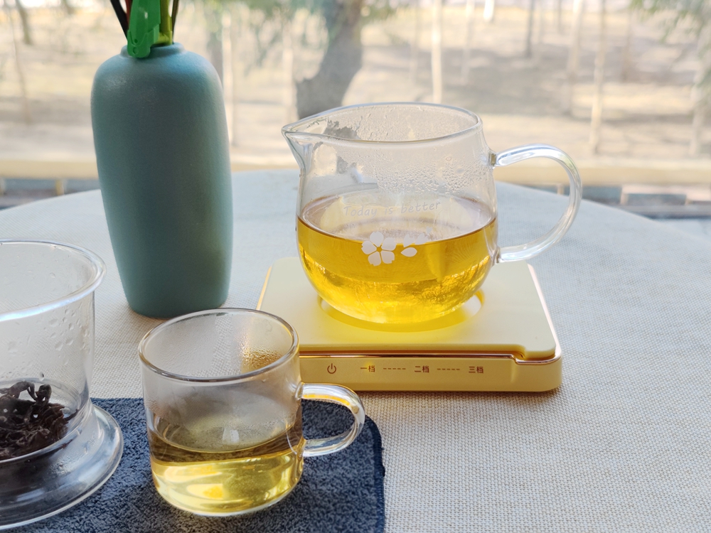 大宇恒温加热杯垫,大宇恒温杯垫升级