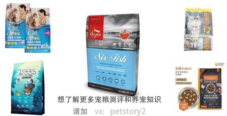 最宠品牌的全价猫粮测评,宠食界猫粮测评