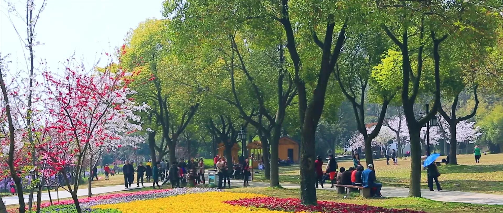 苏州天然氧吧的乡村有哪些,城市绿肺天然氧吧苏州东园