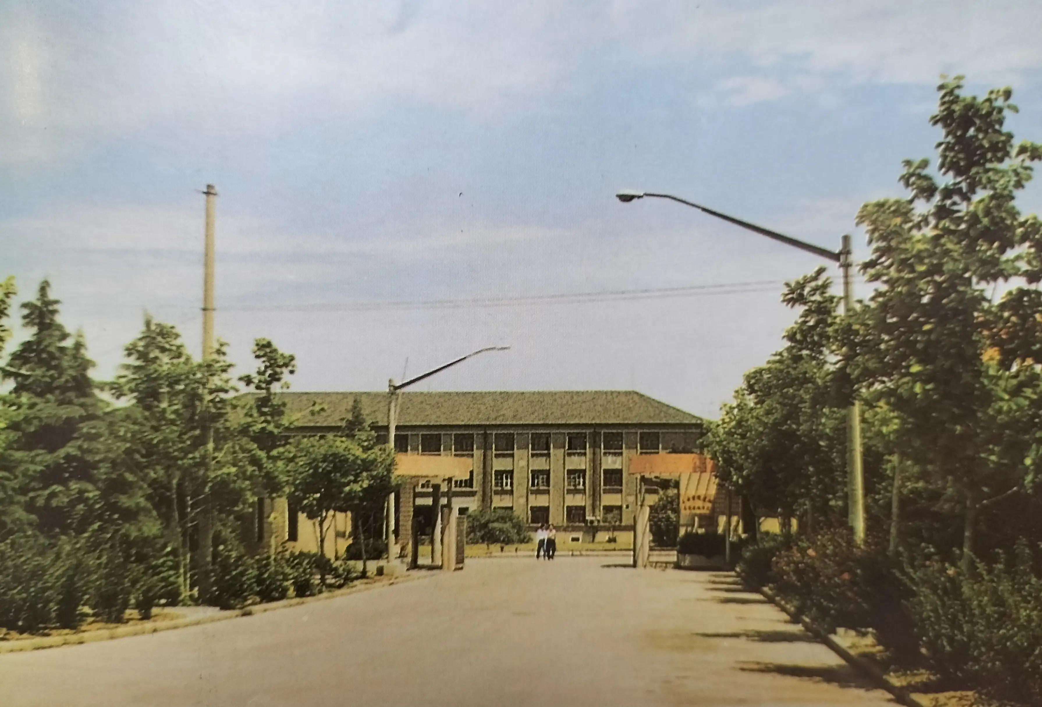 家乡童年趣事,家乡趣事大全视频