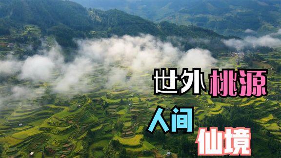 念念不忘必有回响|在西瓜视频，看见她力量