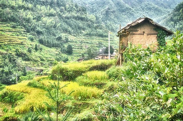 韶关丹霞梯田图片,韶关旅游梯田攻略图片