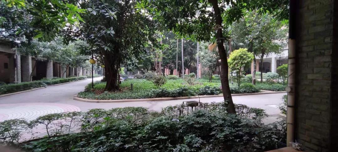 广州海珠区东晓南看房视频,广州东晓南看房