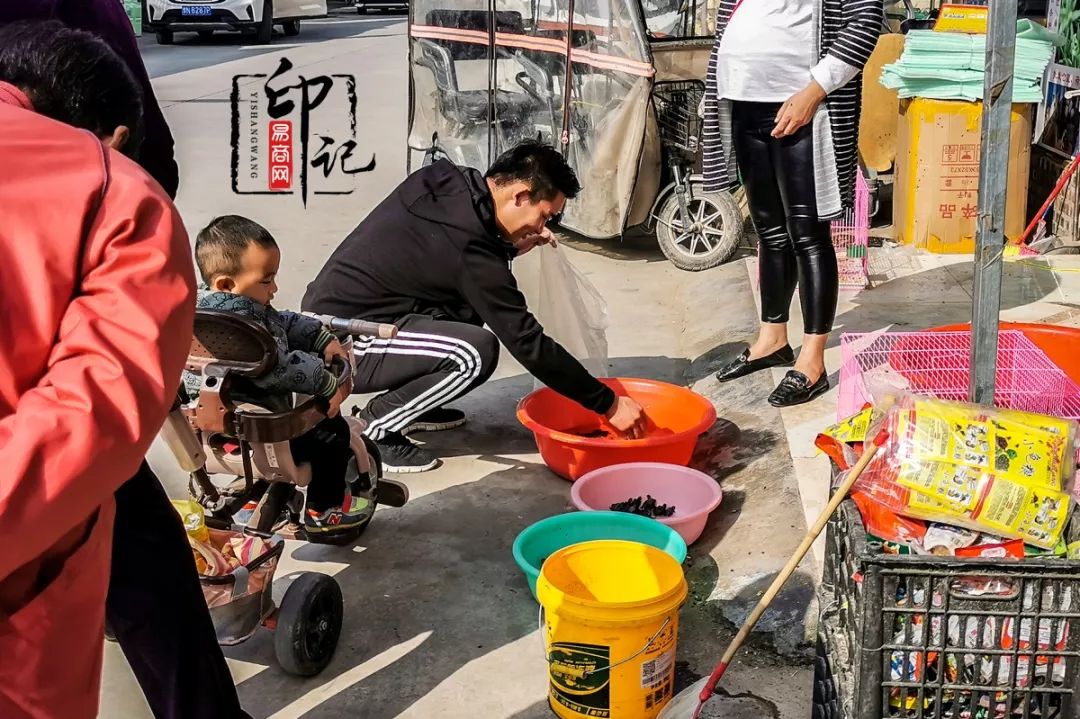 商丘花鸟批发基地,商丘花鸟市场地址