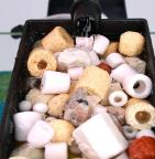 入门养鱼必看手把手教你养鱼,新手怎样养鱼最简单又好养的方法