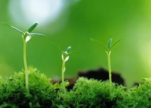 最难认的十大地名,中国最难认的县名