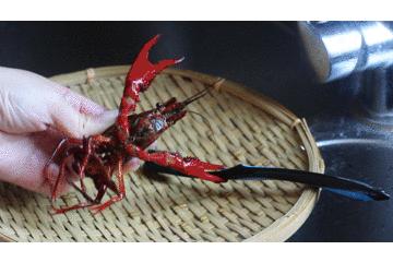 看到了就如获至宝定会买回家，配上剁辣椒炒一盘，酸辣滑嫩好过瘾