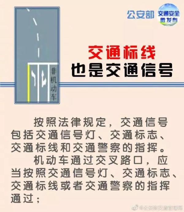 道路上画的箭头各代表什么,路面画有一排箭头标志