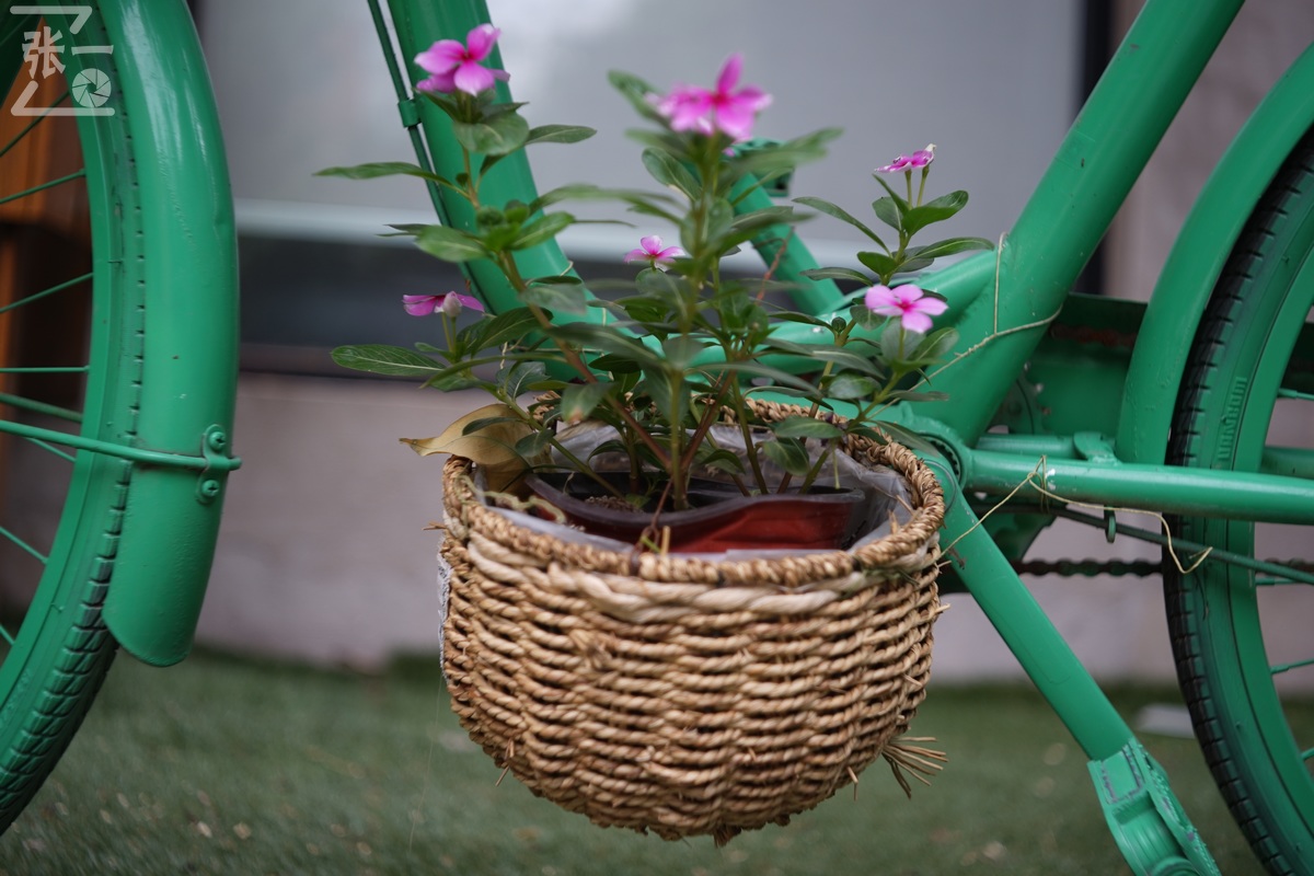 适合索尼a7m4的50定焦镜头测评,索尼a7m4镜头24-105f4测评