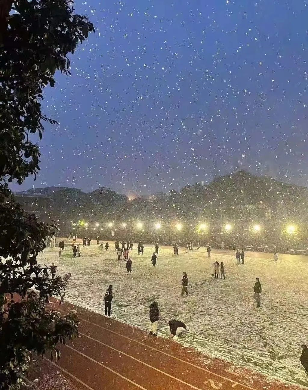第1家国家4a级旅游区的大学博物馆,隐藏在各大校园里的有趣博物馆