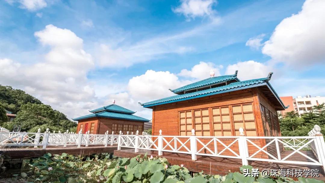 读一所校园环境和学习氛围全方位一流的大学是什么体验？