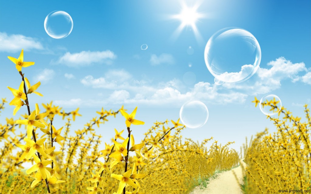 两性择偶观心理学,进化心理学两性择偶观