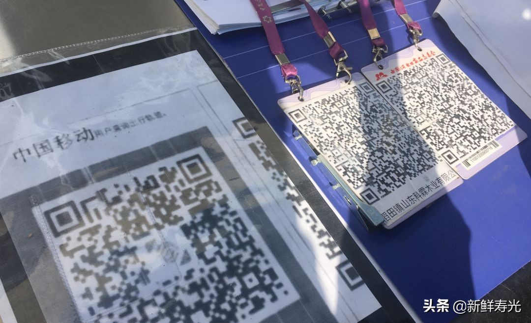 寿光市羊口镇企业,寿光羊口的企业