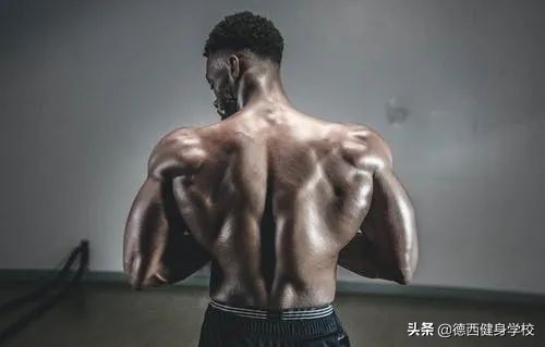 掉肌肉应该补充什么,又是掉肌肉的一天图片