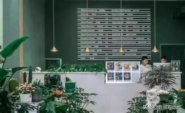 西贝和喜茶,西贝麦当劳星巴克