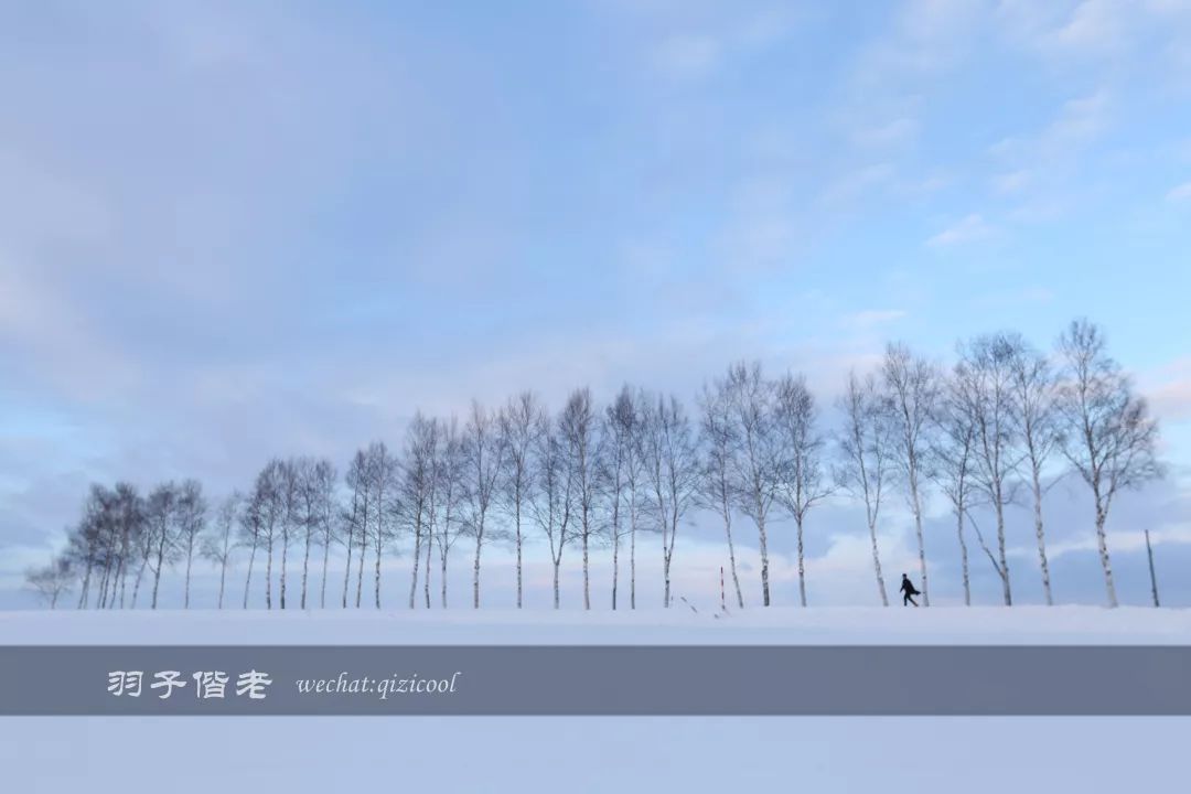 老实说，这一趟北海道就是为了拍好看的照片去的