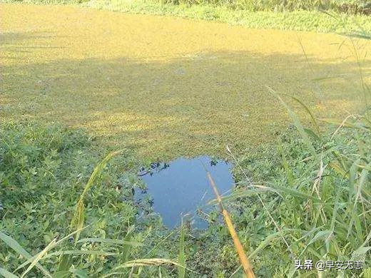 野钓老是挂鱼上来怎么解决,野钓挂底