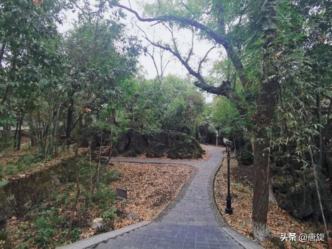 深山里的神秘学校,隐藏在大山深处一所神秘的学校
