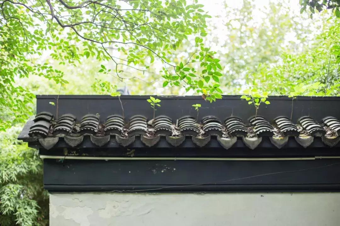 最扎心的汉字,汉字很容易看懂