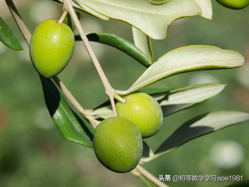 物不知数问题,物不知数问题解法