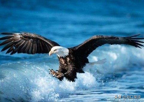 已经三十岁了，父母还不愿意给我买车，该离家出走吗？