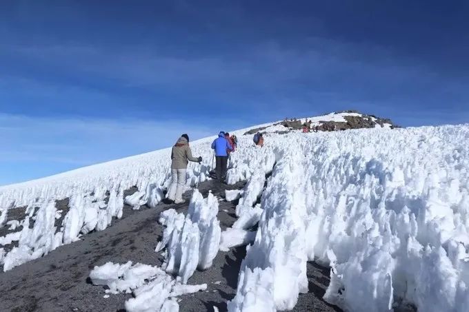 坦桑尼亚之旅,坦桑尼亚东非草原