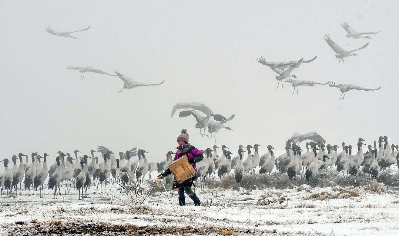 云南昭通大山包附近有什么好玩的,云南昭通大山包景区