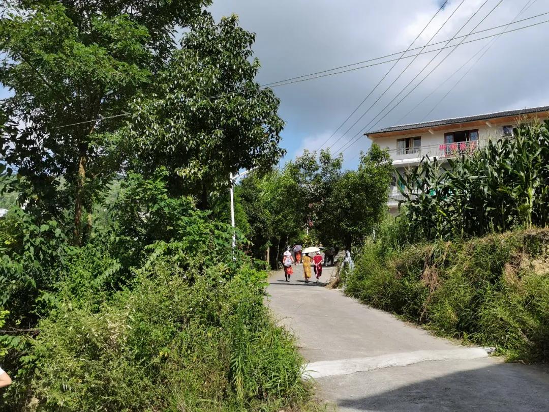 桐梓环境好的地方,桐梓森林氧吧