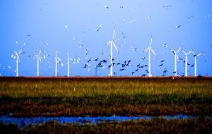 盐城风土人情的故事,江苏盐城情