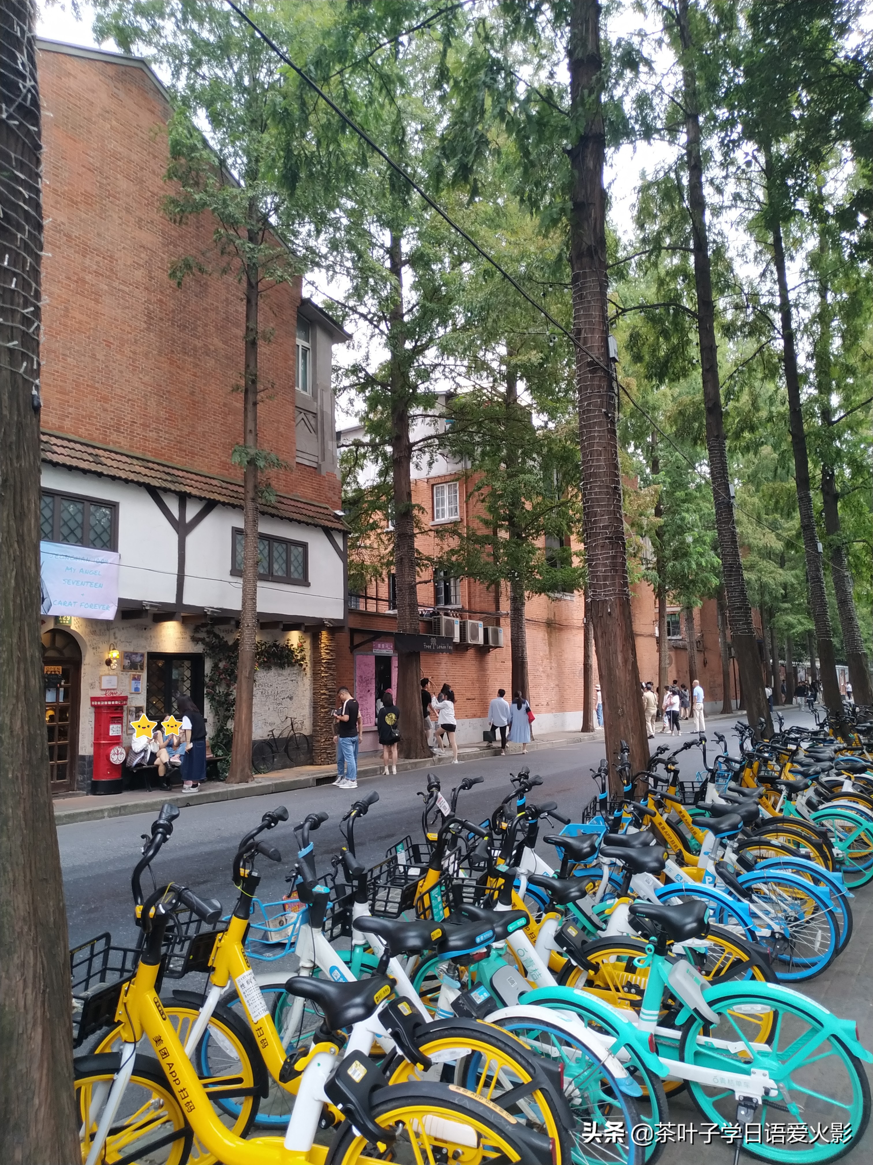 上海甜爱路，打卡不要错过哦，还有鲁迅公园