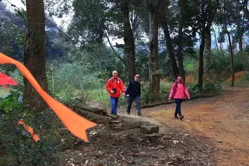 广东省徒步的好地方,广东哪里地方适合周末自驾游