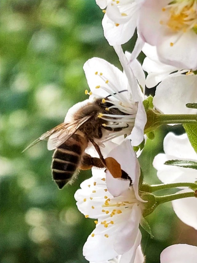 走过熟悉的那条街已不是以前的街,记忆中的那条街