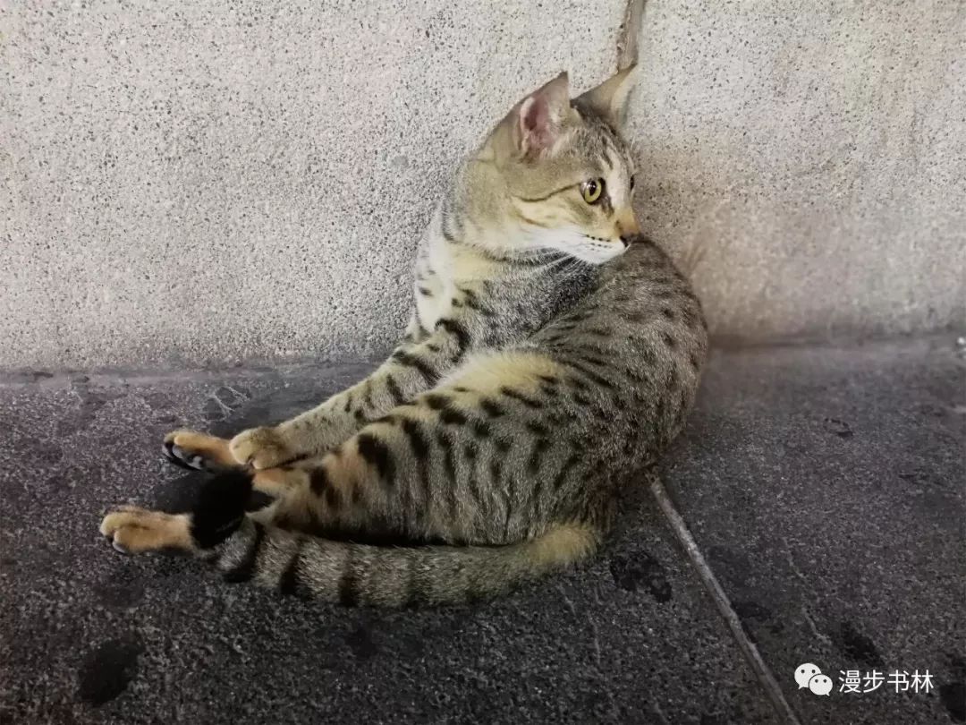 迪拜穷游攻略海边景点,迪拜穷游一天